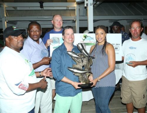 Wine Cellar Fishing Tournament